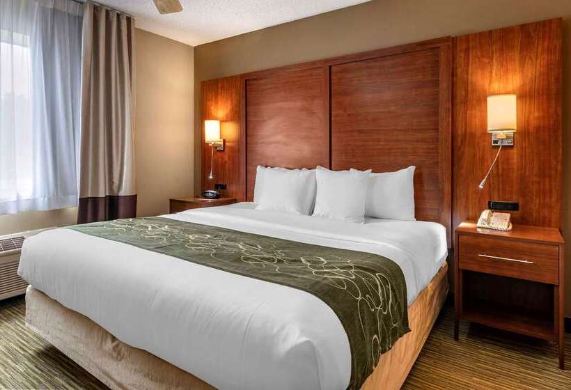 בית מלון כפרי Comfort Suites North