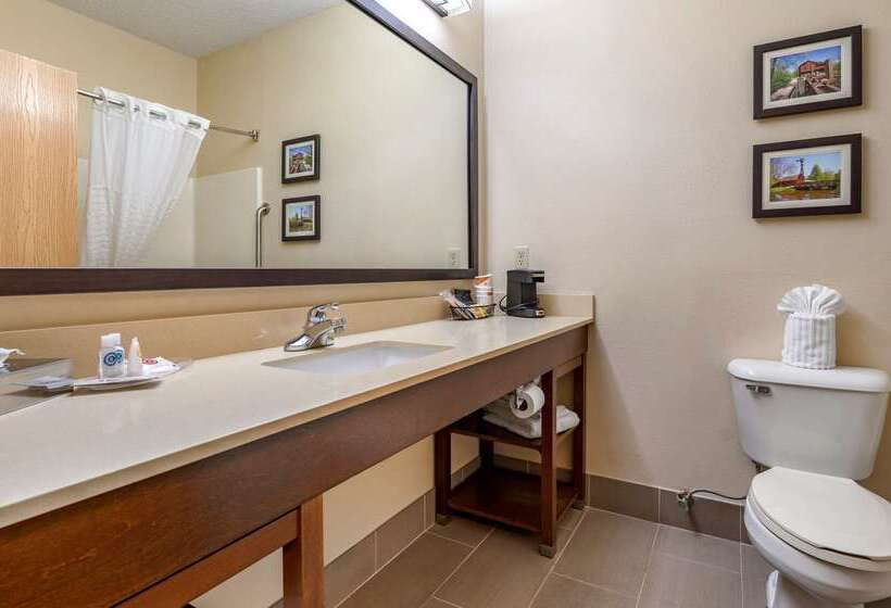 בית מלון כפרי Comfort Suites North