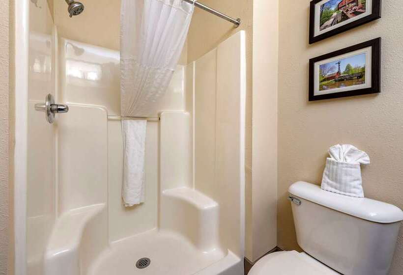 בית מלון כפרי Comfort Suites North