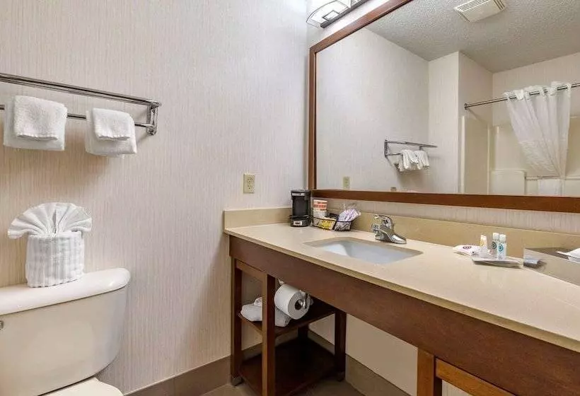 فندق Comfort Suites North