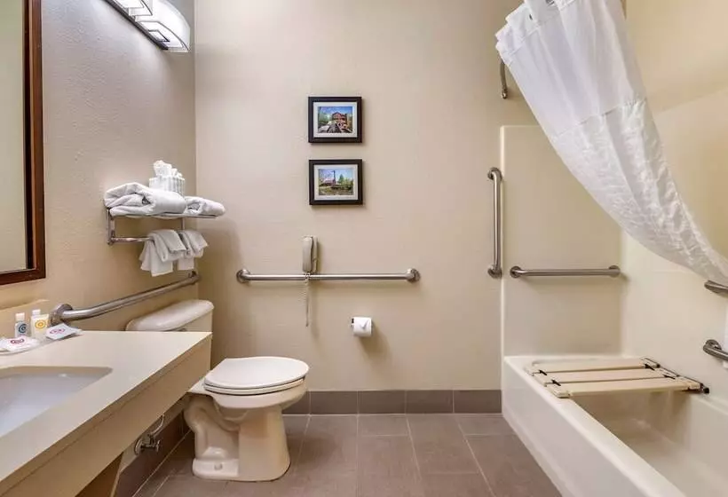 فندق Comfort Suites North