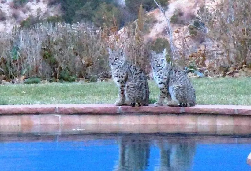 호텔 Garden Of The Gods Resort & Club