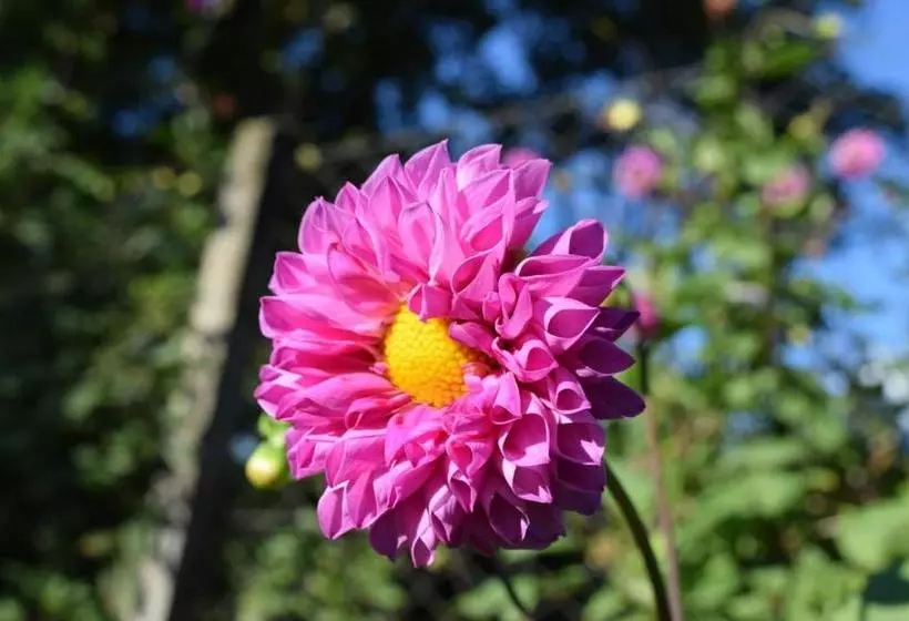 Hotel Pousada Saint Gottard