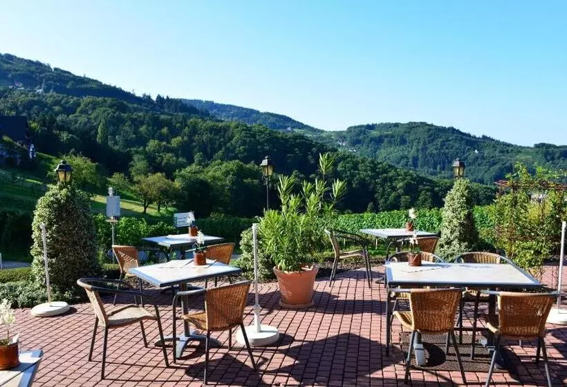 Relaxhotel Tannenhof