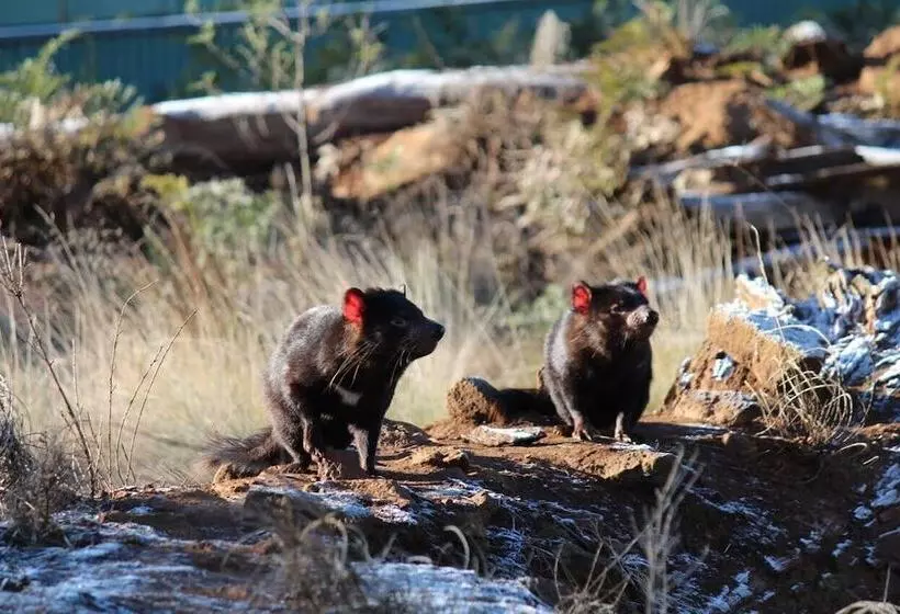 Bucketts Way Motel Gloucester