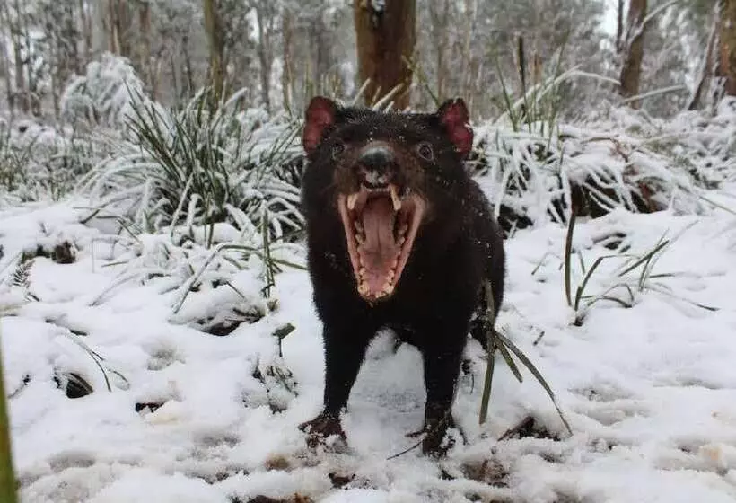 Bucketts Way Motel Gloucester