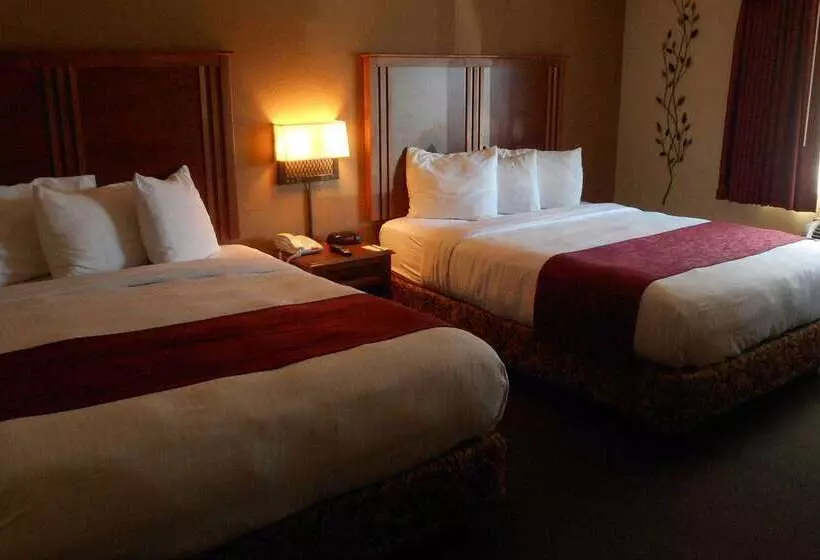 酒店 Americinn By Wyndham Mcalester