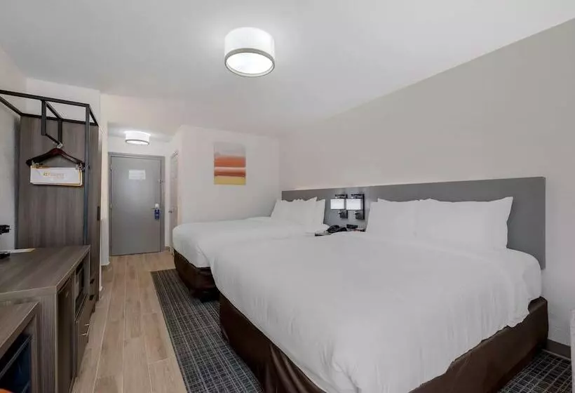 ホテル Comfort Inn