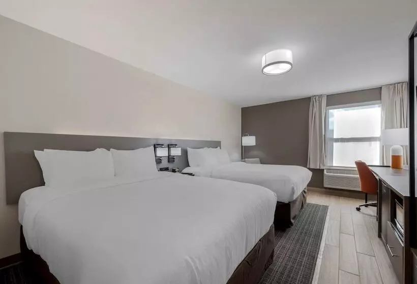 ホテル Comfort Inn