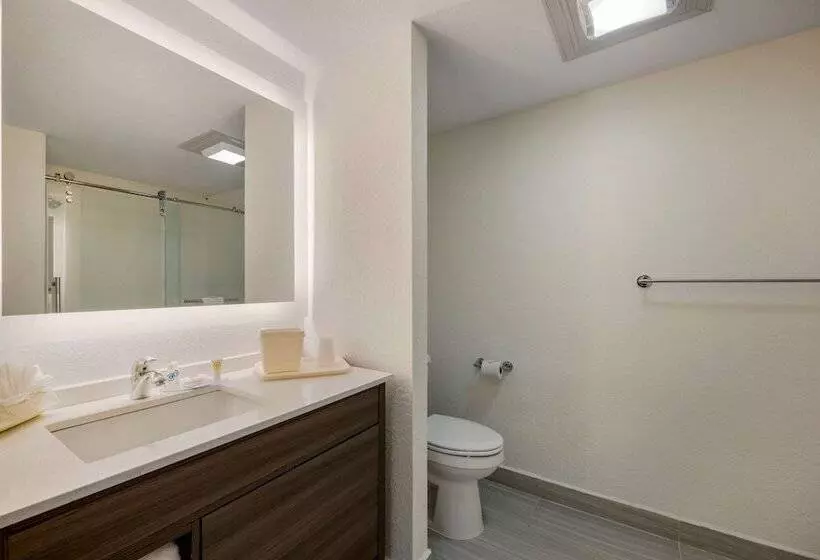 ホテル Comfort Inn