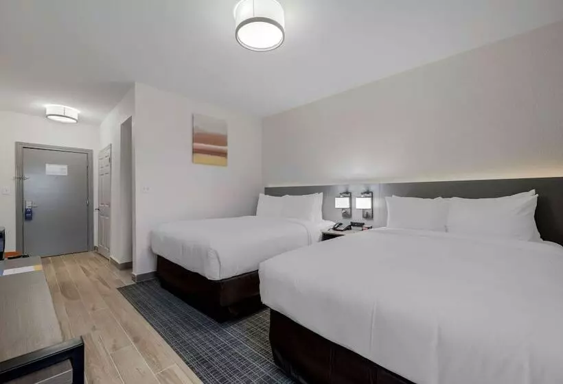 ホテル Comfort Inn