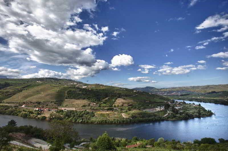 فندق Delfim Douro