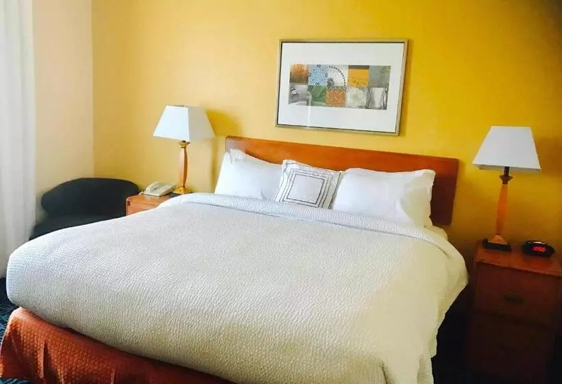 酒店 Fairfield Inn And Suites Sacramento Airport Natomas