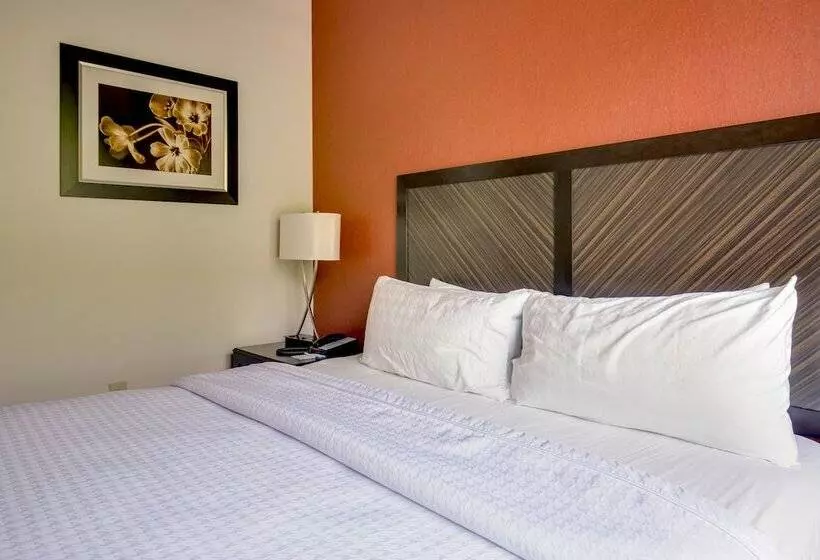 酒店 Homewood Suites By Hilton Doylestown