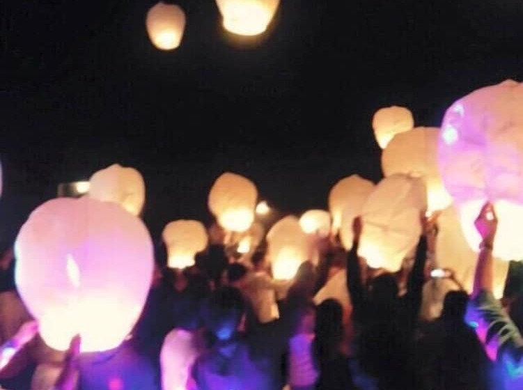 Hotel Palmeras Y Dunas