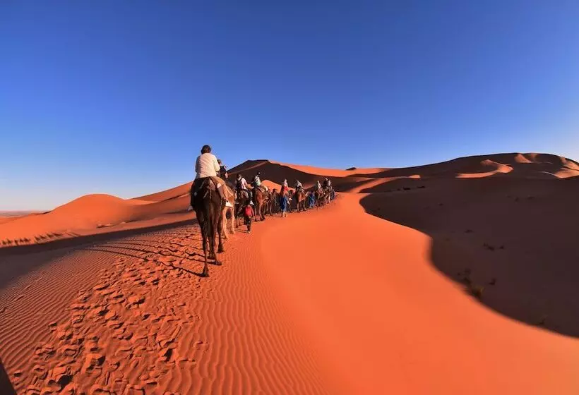 فندق Palmeras Y Dunas