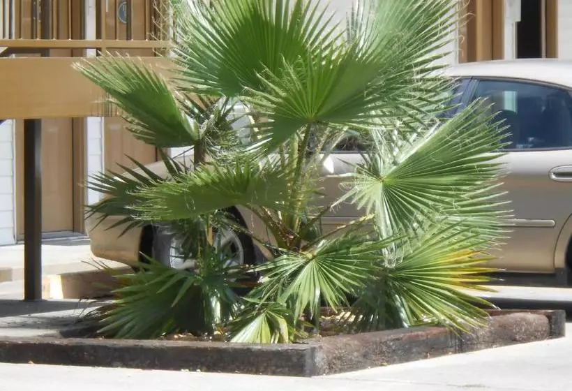 מוטל Glennville Inn