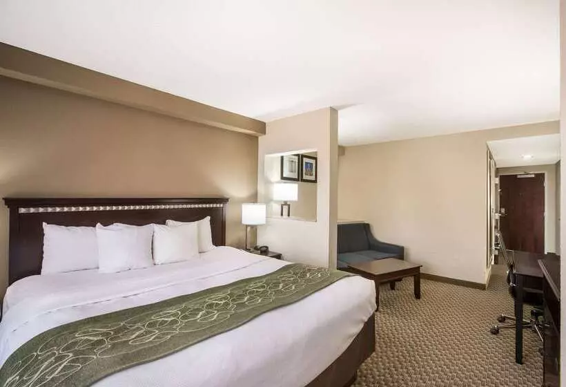 Отель Comfort Suites Forsyth Near I75