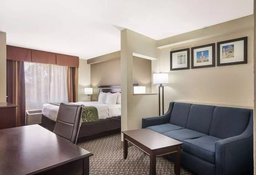 Отель Comfort Suites Forsyth Near I75