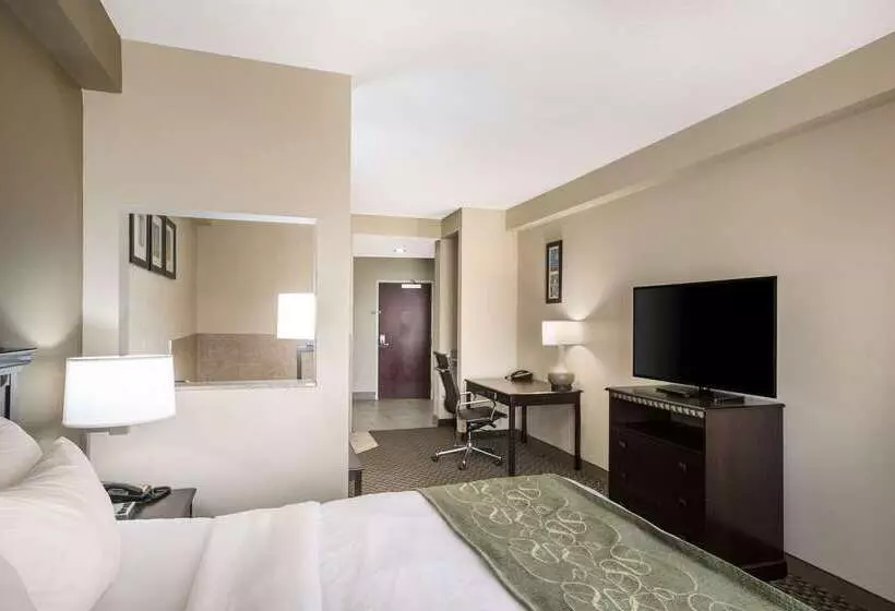 Отель Comfort Suites Forsyth Near I75