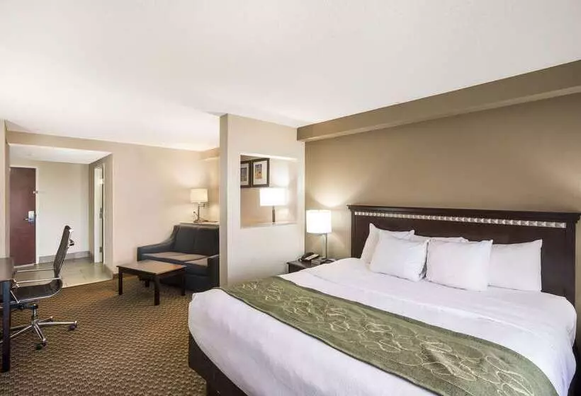 Отель Comfort Suites Forsyth Near I75