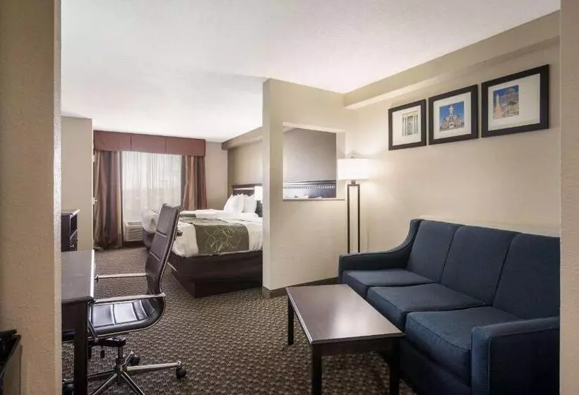 Отель Comfort Suites Forsyth Near I75