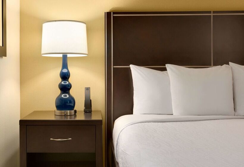 فندق Hilton Garden Inn Houston Nw America Plaza