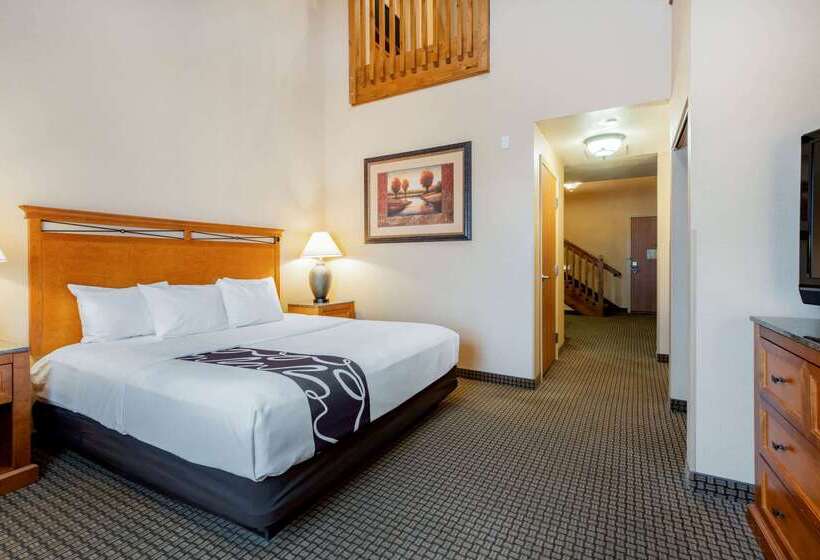 בית מלון כפרי La Quinta By Wyndham Twin Falls