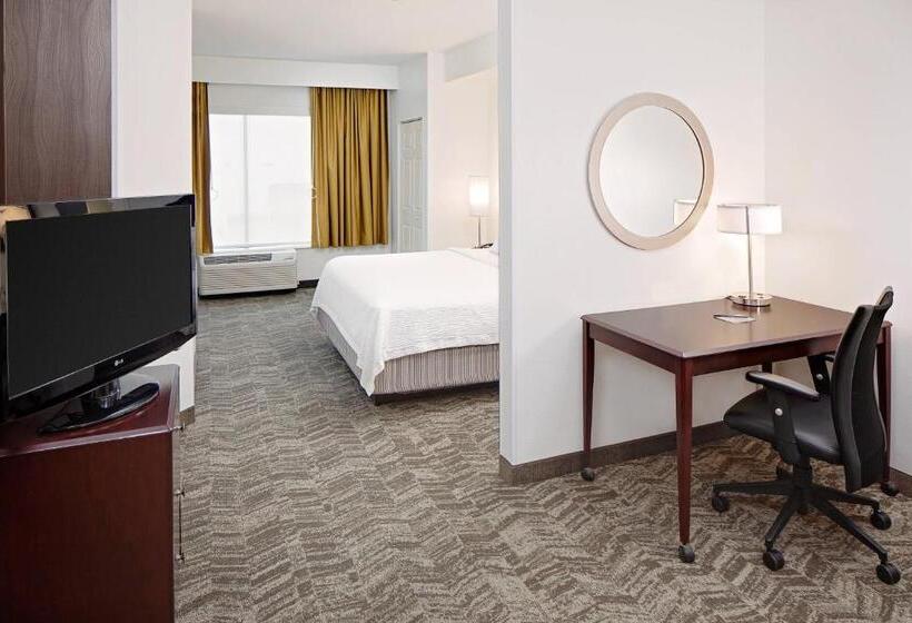 Hotel Springhill Suites By Marriott Ardmore