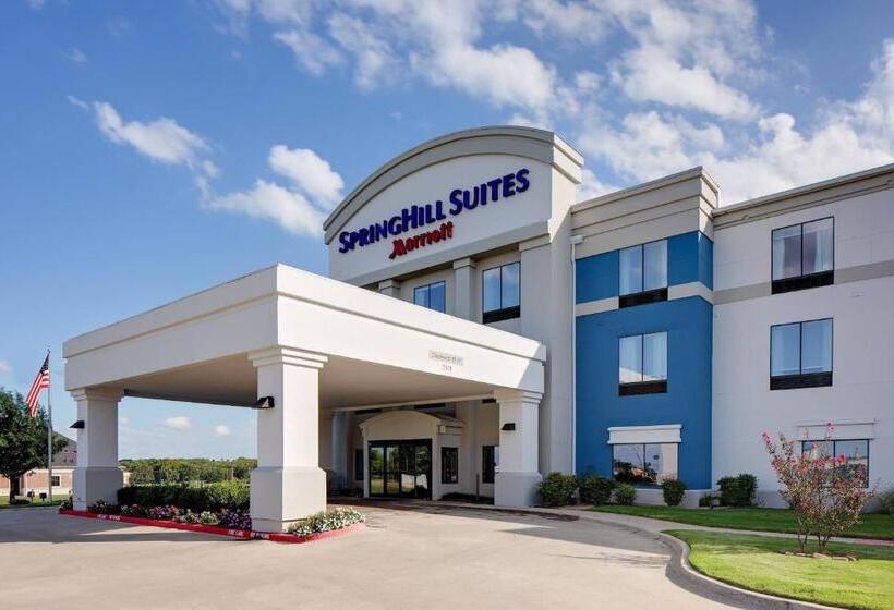 Hotel Springhill Suites By Marriott Ardmore