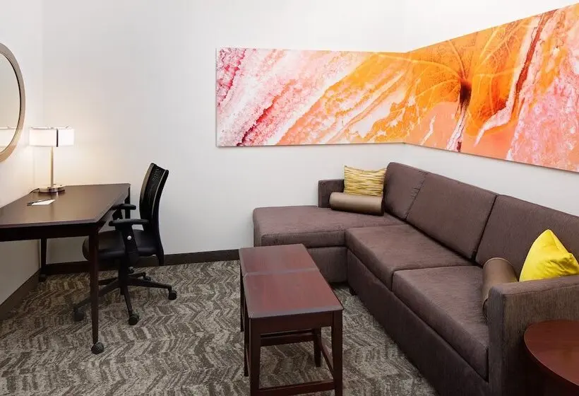 ホテル Springhill Suites By Marriott Ardmore