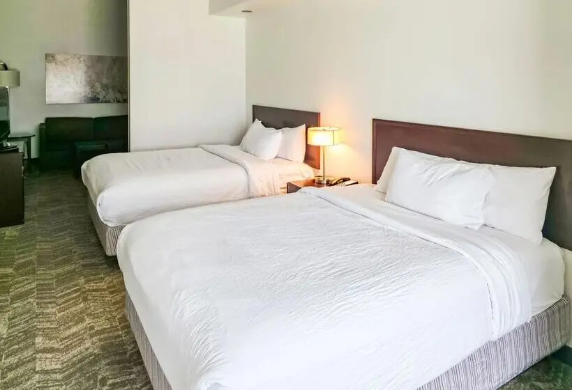 ホテル Springhill Suites By Marriott Ardmore