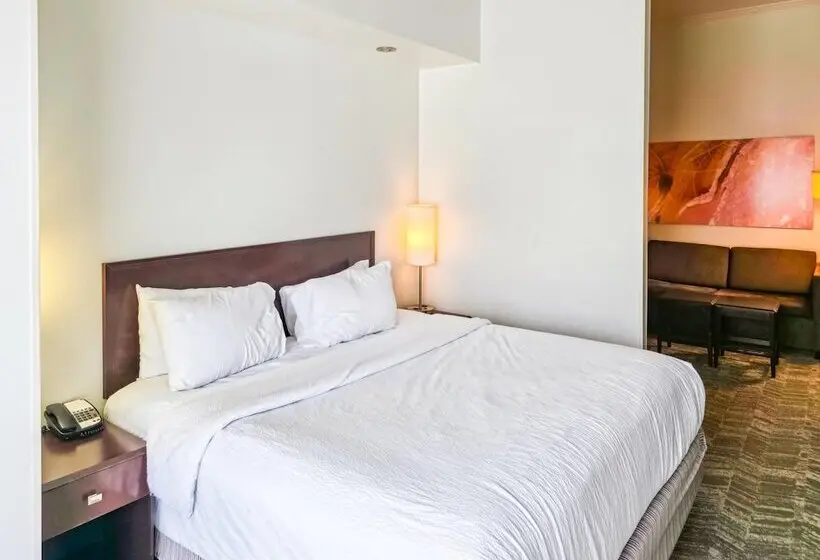 ホテル Springhill Suites By Marriott Ardmore