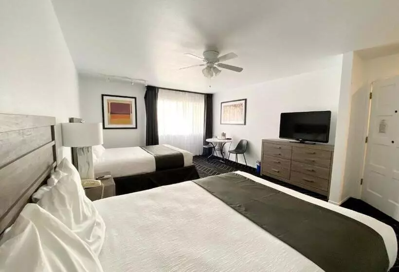 汽车旅馆  Masterpiece