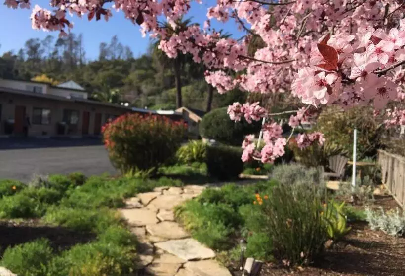 Cambria Palms Motel
