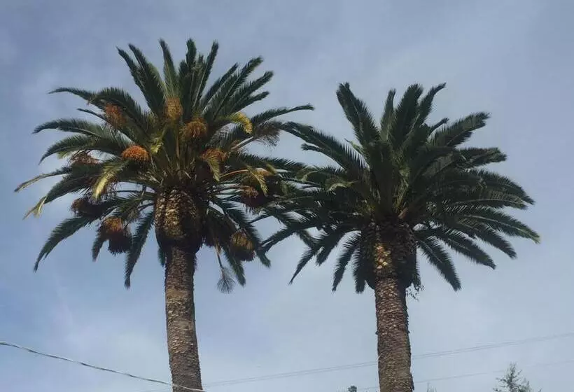 Cambria Palms Motel