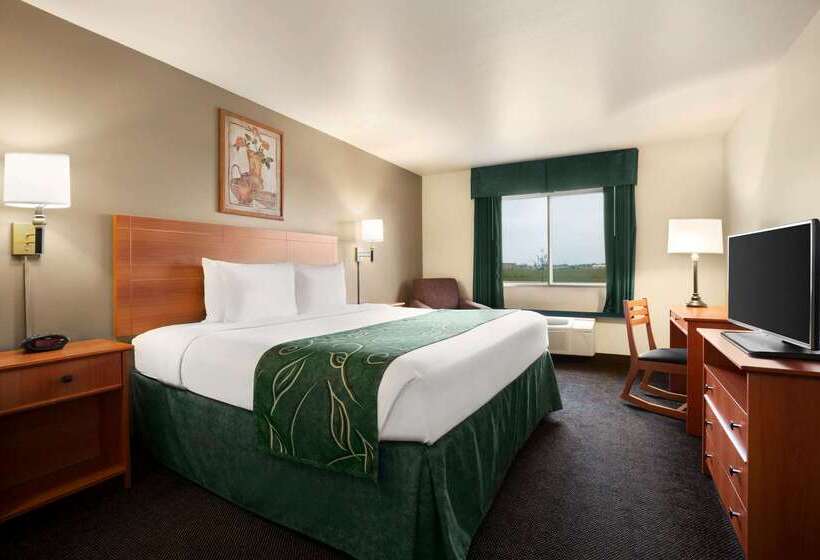 ホテル Baymont By Wyndham Fremont