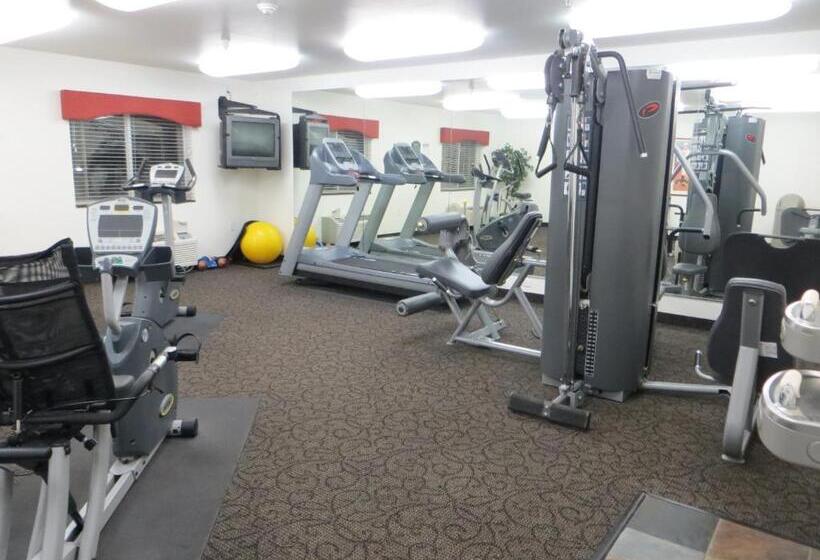 ホテル Baymont By Wyndham Fremont