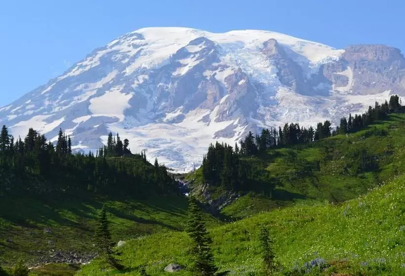 فندق Peppermill Empress Inn