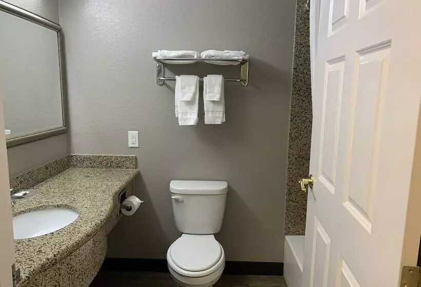 Отель Hawthorn Extended Stay By Wyndham Hobbs