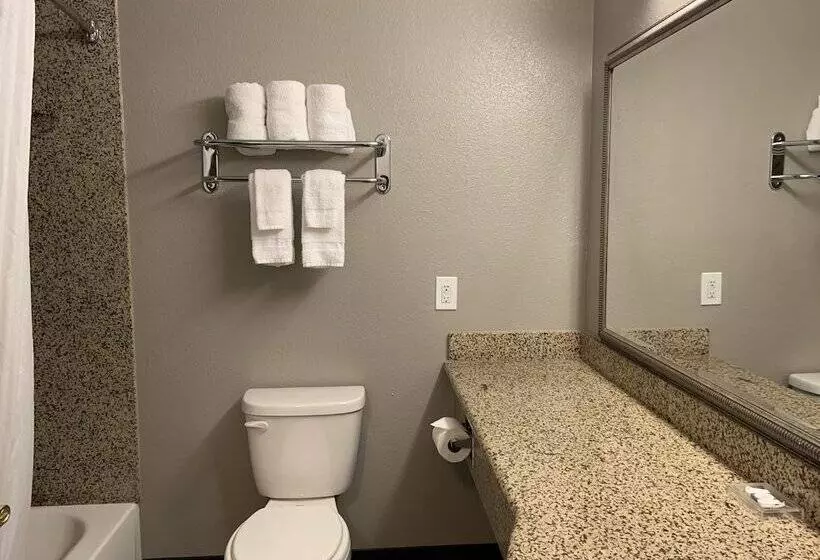 Отель Hawthorn Extended Stay By Wyndham Hobbs