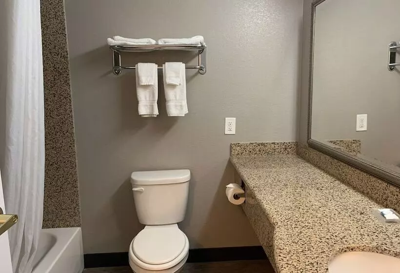 Отель Hawthorn Extended Stay By Wyndham Hobbs