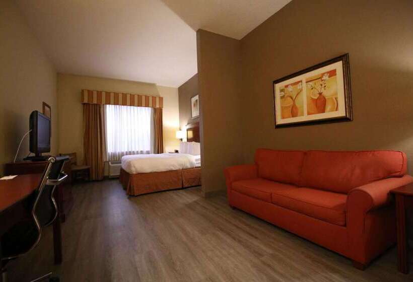 Seffner Inn And Suites