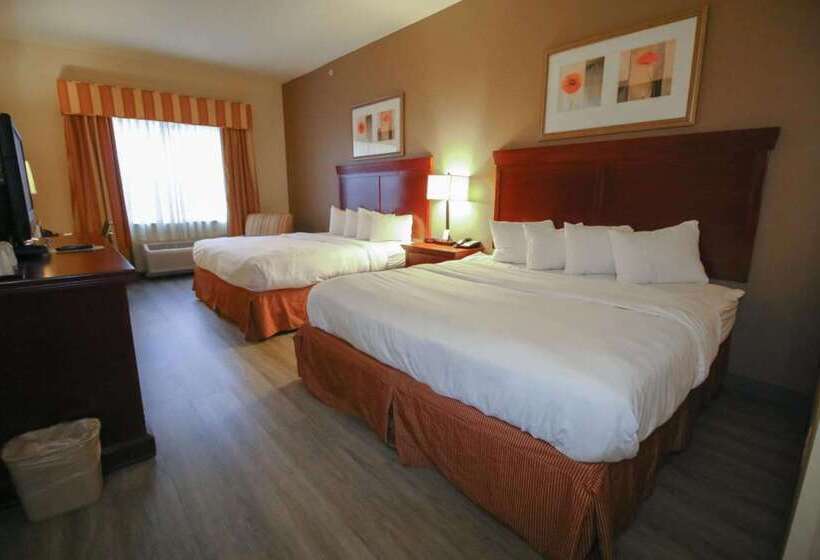 Seffner Inn And Suites