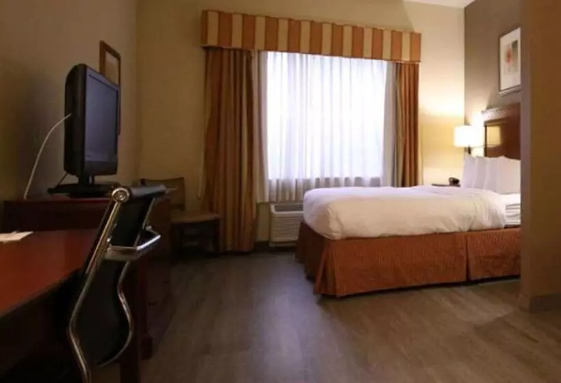 Seffner Inn And Suites