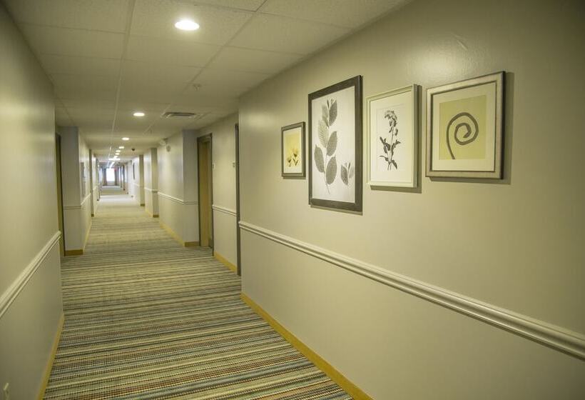 Seffner Inn And Suites