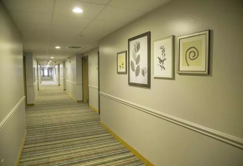 Seffner Inn And Suites