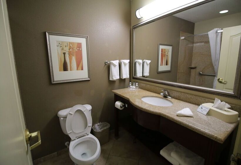 Seffner Inn And Suites