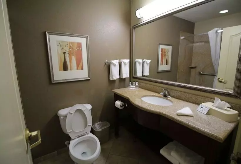 Seffner Inn And Suites