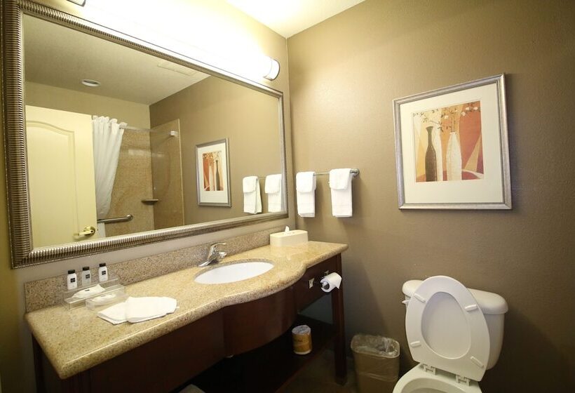 Seffner Inn And Suites